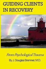 Guiding Clients in Recovery from Psychological Trauma