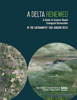 A Delta Renewed