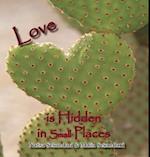 Love is Hidden in Small Places 