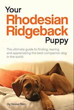 Your Rhodesian Ridgeback Puppy