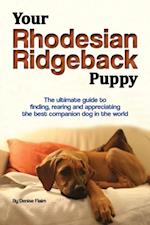 Your Rhodesian Ridgeback Puppy