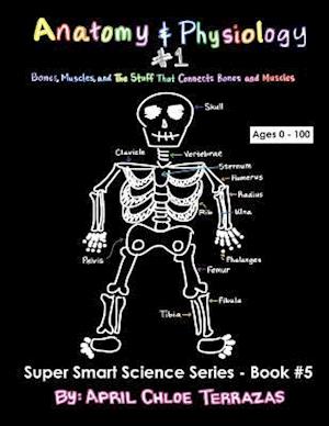 Anatomy & Physiology Part 1: Bones, Muscles, and the Stuff That Connects Bones and Muscles