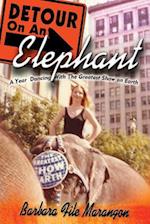 Detour On An Elephant