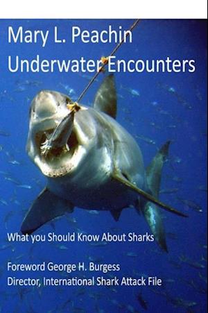 Underwater Encounters