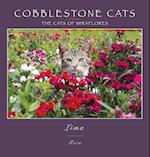 Cobblestone Cats - MF