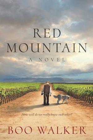 Red Mountain: A Novel