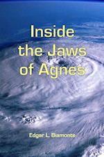 Inside the Jaws of Agnes
