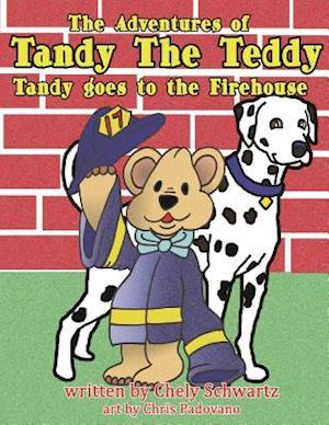 The Adventures of Tandy the Teddy