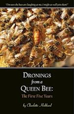 Dronings from a Queen Bee : The First Five Years