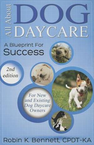 All about Dog Daycare