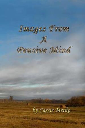 Images from a Pensive Mind