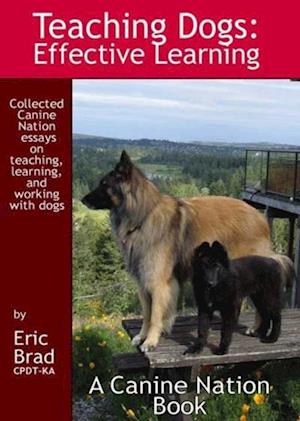 Teaching Dogs: Effective Learning