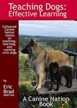 Teaching Dogs: Effective Learning