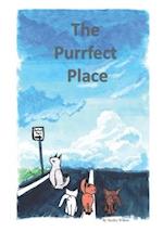 The Purrfect Place