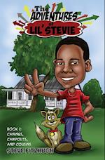 The Adventures of Lil' Stevie Book 1