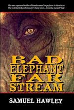 Bad Elephant Far Stream