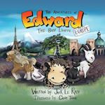 The Adventures of Edward the Baby Liraffe