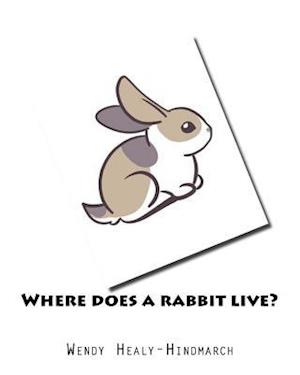 Where Does a Rabbit Live?