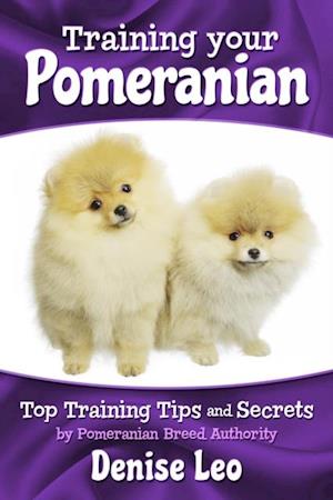 Training your Pomeranian : Top Training Tips and Secrets