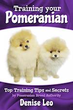 Training your Pomeranian : Top Training Tips and Secrets