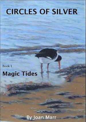 Magic Tides