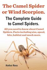Camel Spider or Wind Scorpion. The Complete Guide to Camel Spiders. All You Need to Know About Camel Spiders. Facts Including Size, Speed, Bite and Habitat.