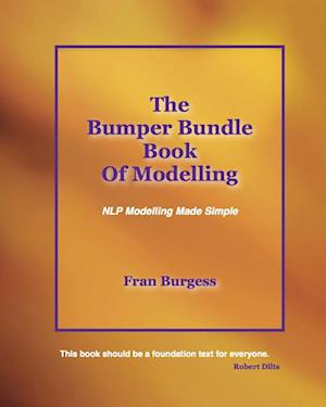 The Bumper Bundle Book of Modelling