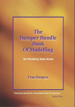 Bumper Bundle Book of Modelling