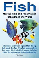 Fish: Marine Fish and Freshwater Fish Across the World: Information on Different Types of Fish: The Big Fish, Shark, Dog Fis 