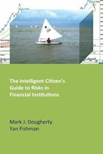 The Intelligent Citizen's Guide to Risks in Financial Institutions