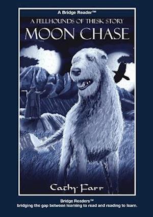 Moon Chase Bridge Reader Edition