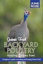 Guinea Fowl, Backyard Poultry