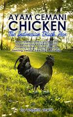 Ayam Cemani Chicken - The Indonesian Black Hen. A complete owner's guide to this rare pure black chicken breed. Covering History, Buying, Housing, Feeding, Health, Breeding & Showing.