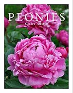 Peonies