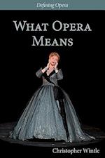 What Opera Means