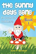 The Sunny Days Gang Book 1