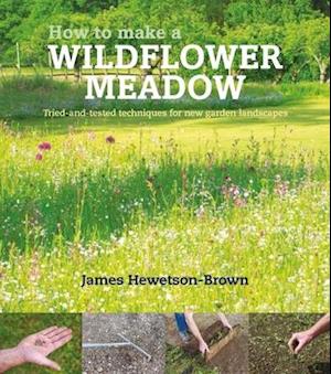 How to make a wildflower meadow