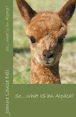 So ... what IS an alpaca?