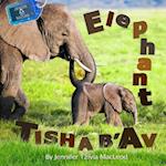 Elephant Tisha B'Av