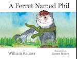 Ferret Named Phil