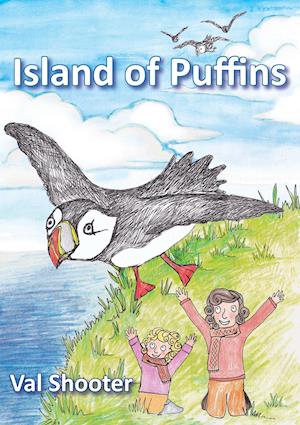 Island of Puffins