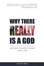 Why there Really is a God: and What you Need to Know about Him 