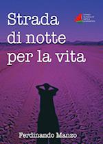 Strada Di Notte Per La Vita