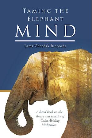 Taming the Elephant Mind