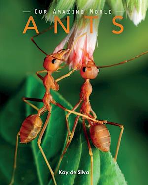 Ants