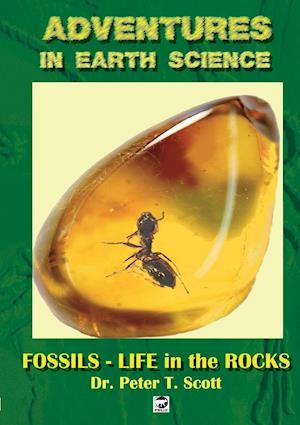 Fossils- Life in the Rocks