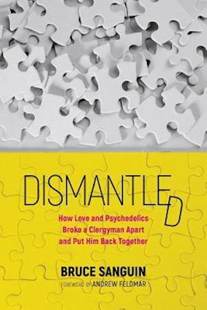 Dismantled: How Love and Psychedelics Broke a Clergyman Apart and Put Him Back Together