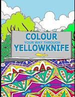 Colour Your Way Through Yellowknife