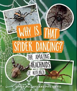 Why Is That Spider Dancing?