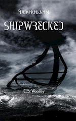 Shipwrecked: A kids Viking Adventure 